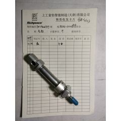 气缸/TW.19020799/DSNU-12-10-P-A(19189)